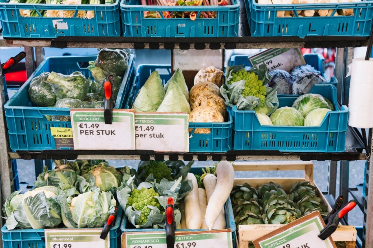 Aldi klant schrikt zich thuis kapot bij opbergen sla: ‘Zo groot zie je ze zelden’